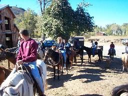 Getting ready to leave the stables