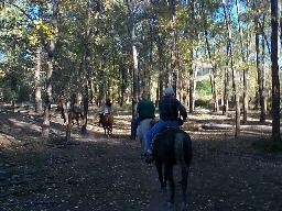 Riding back into the stables