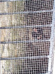 Looking down at Chris through a grating.