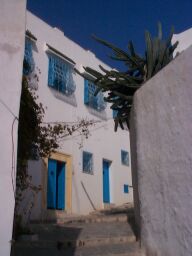 An alleyway in Sidi Bou Said.