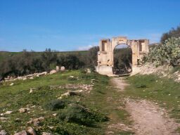 The Arch of Alexander Severus.