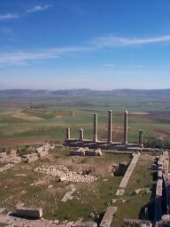 Looking down at the Temple of Saturn.