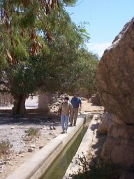 Walking along the falaj in Tanuf.