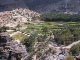 The terraces and buildings of Bilat Sayt.