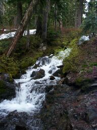 Another stream, higher up, washing over the trail.