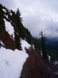 More snow on the trail, coming down.