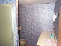 The downstairs bathroom.  The picture doesn't do justice to the wallpaper.