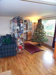 Looking back into the living room (yes, my tree is still up).