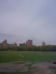 Looking across Central Park.