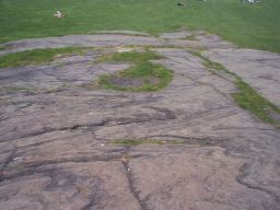 There was a lot of granite in Central Park!