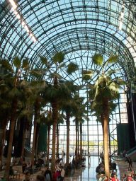 Atrium again.  I liked the palm trees.