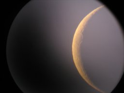 Image of the moon (digital camera pointing at the eyepiece).