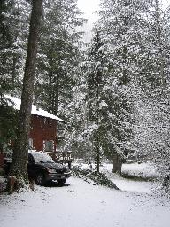 Approaching the cabin