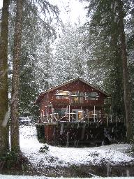 Looking at the cabin from the river