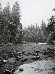 Looking up the river